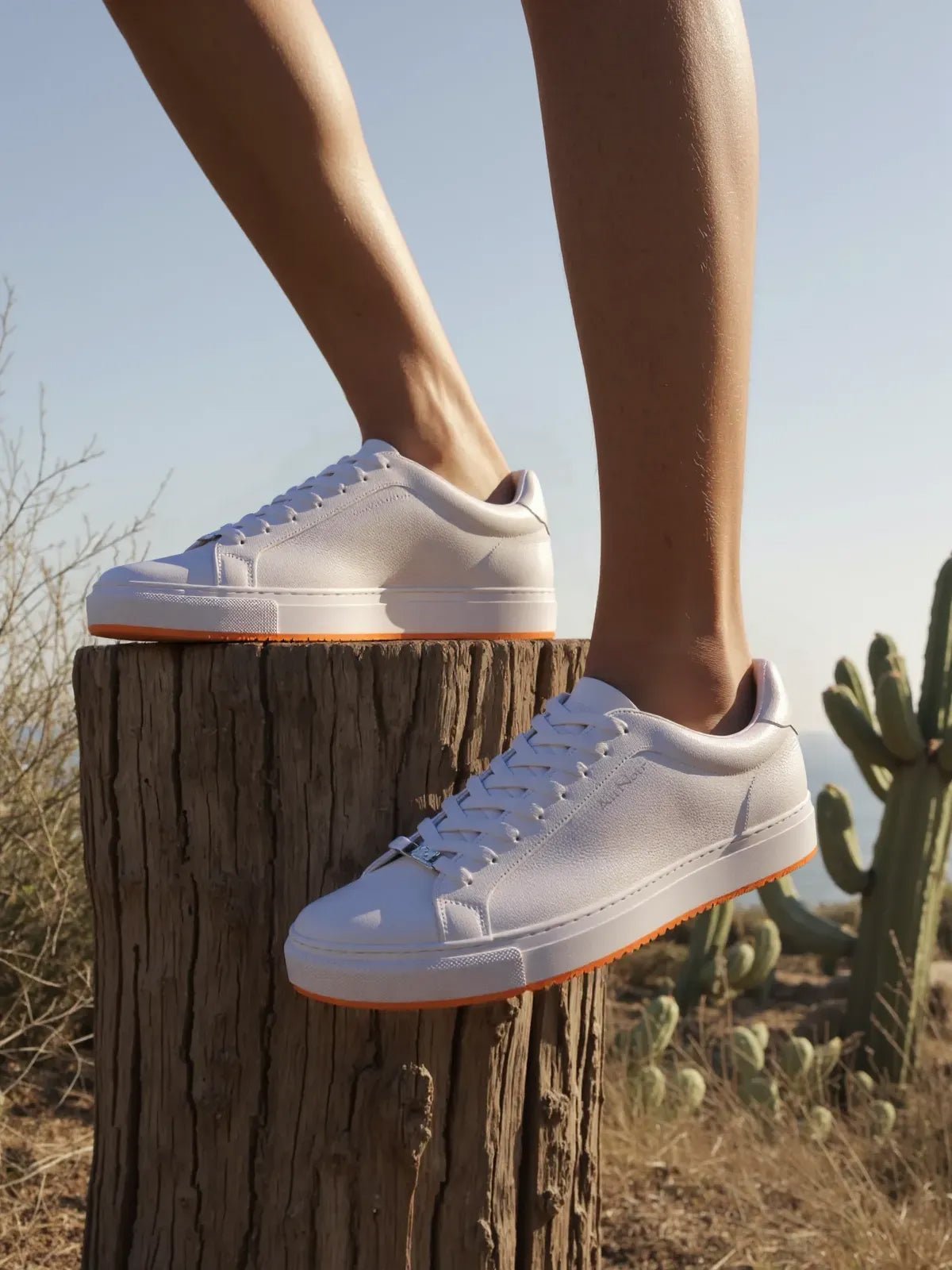 CHAUSSURE SPORT | WEBSTER, White - AU NOIR