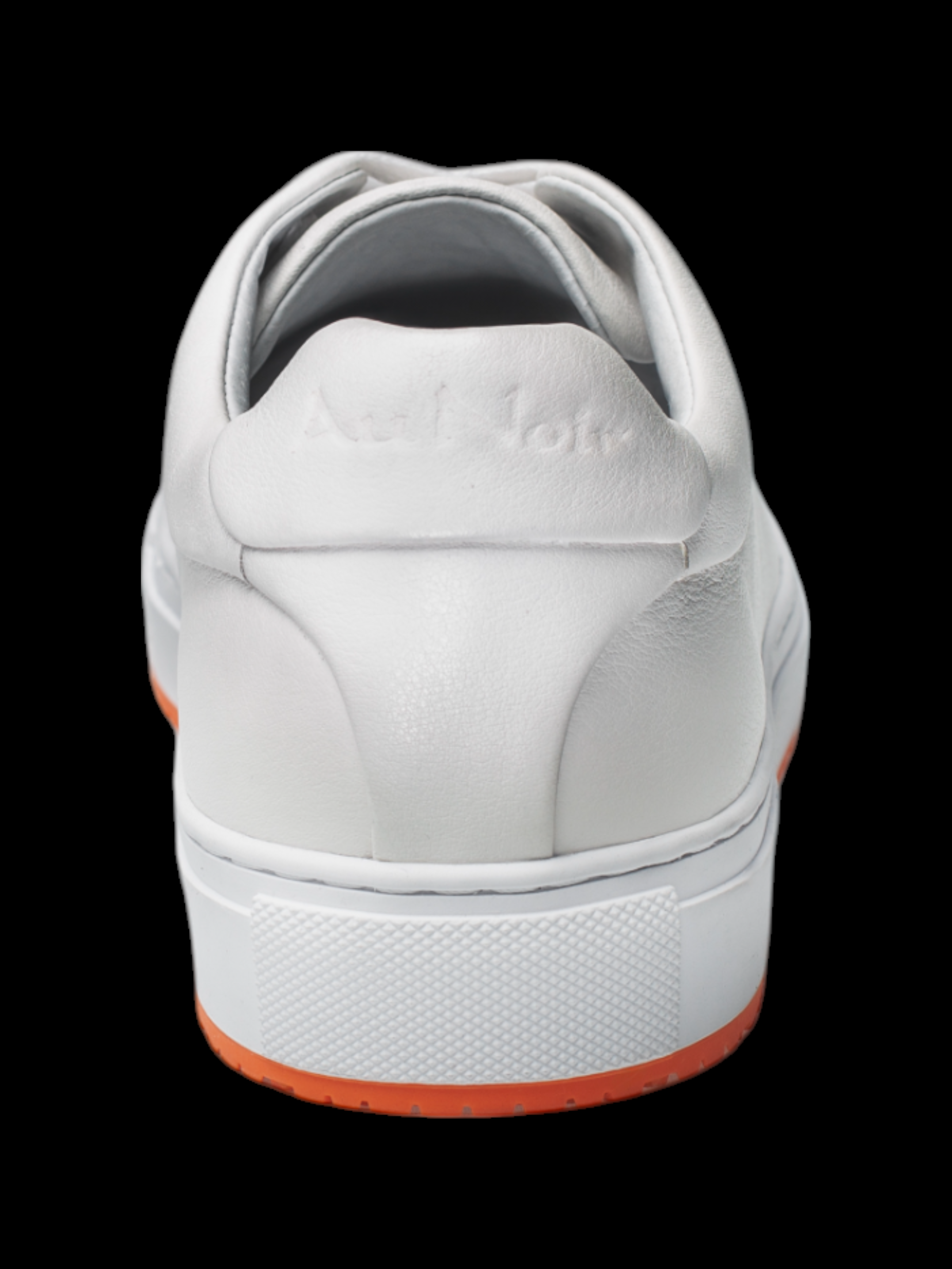 CHAUSSURE SPORT | WEBSTER, White